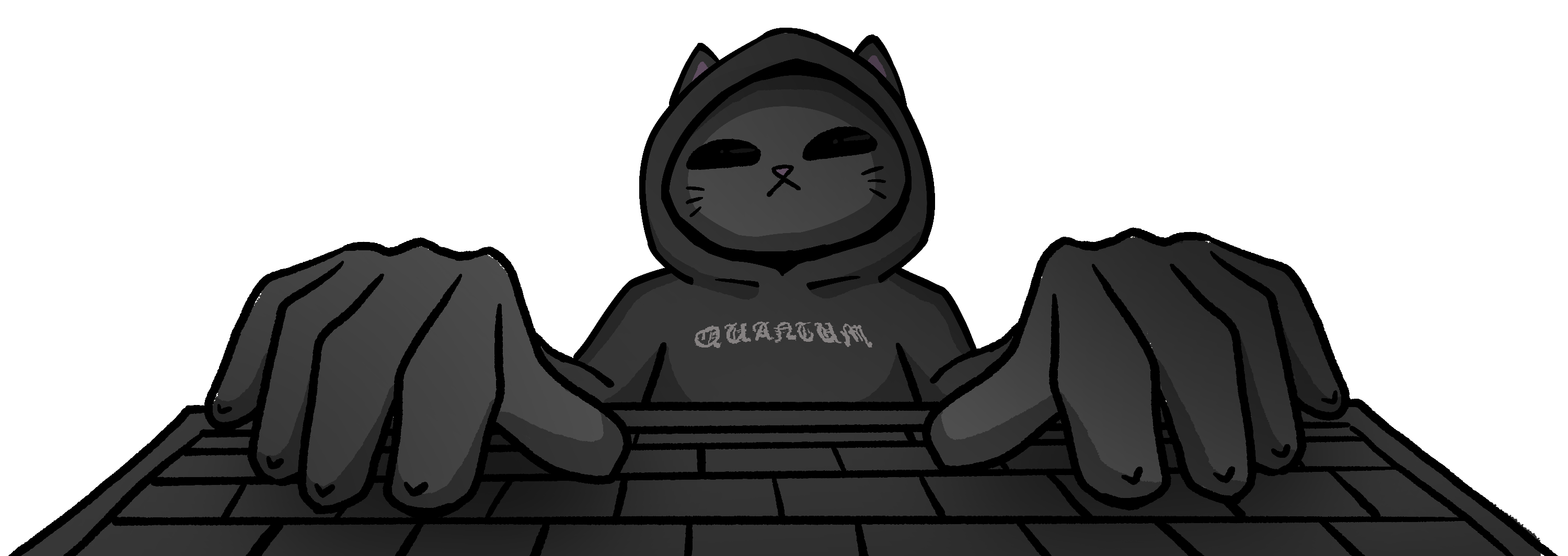 Quantum Cat at the keyboard